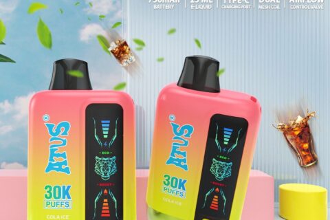 DE026 30000 Puffs Einweg Vape mit LED Display und regulierbarem Luftstrom