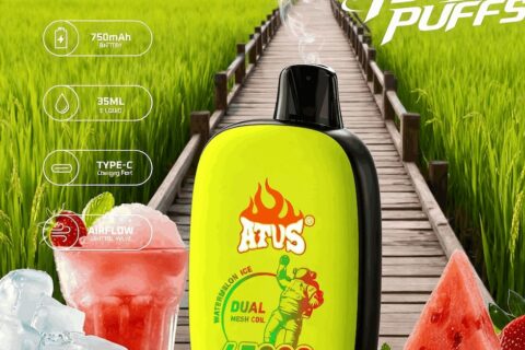 DE027 Einweg E-Zigarette 45000 Züge mit Vollbildschirm wiederaufladbar und einstellbarer Luftstrom ATVS Vape E-Zigaretten