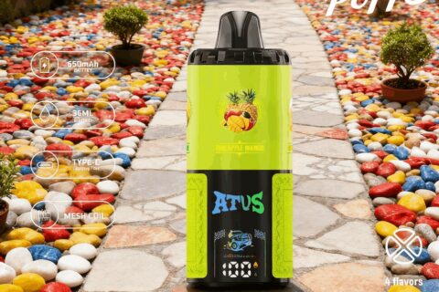 DE030 Einweg E-Zigarette 60000 Zuge mit LED Anzeige wiederaufladbar und einstellbarer Luftstrom ATVS Vape E-Zigaretten